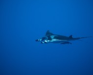IMG_3815