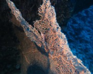 IMG_5406