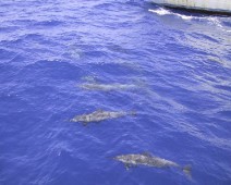 IMG_2838