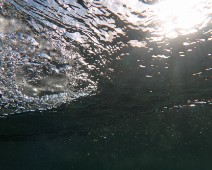 IMG_2621