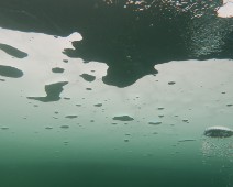 IMG_2632