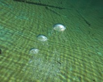 IMG_4478