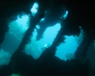 IMG_8144
