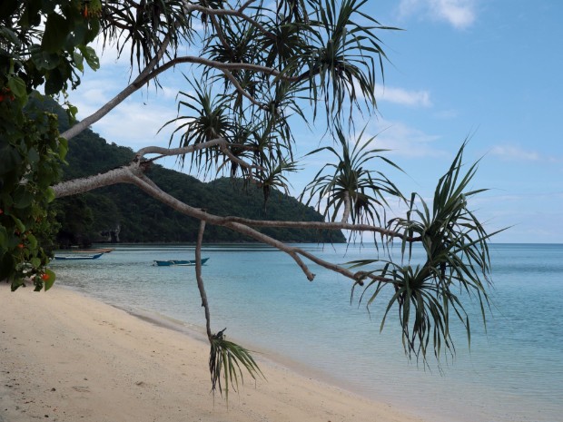 Tauchen Selayar