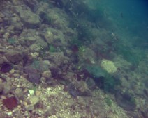 Vorderer Langbathsee